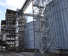 Шосткинський елеватор цього сезону планує переробити 60 тис. тонн кукурудзи